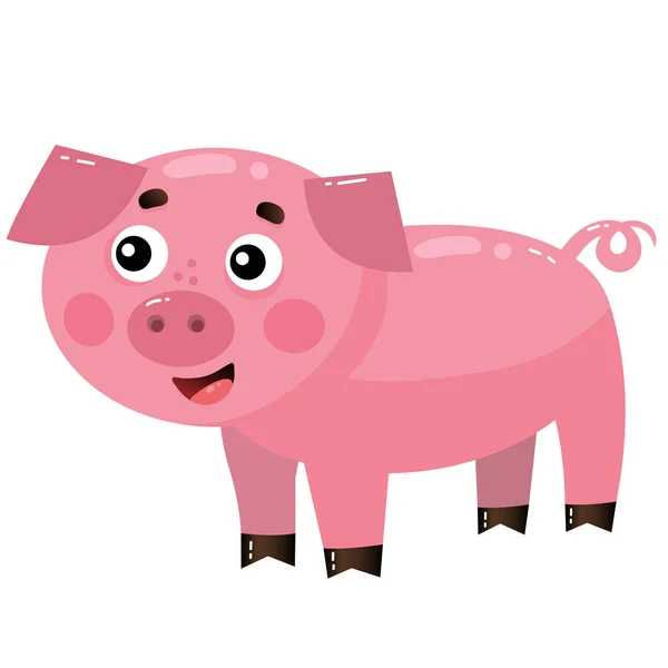 Color image of cartoon pig or swine on white background. Farm animals. Vector illustration for kids. — Stock Vector