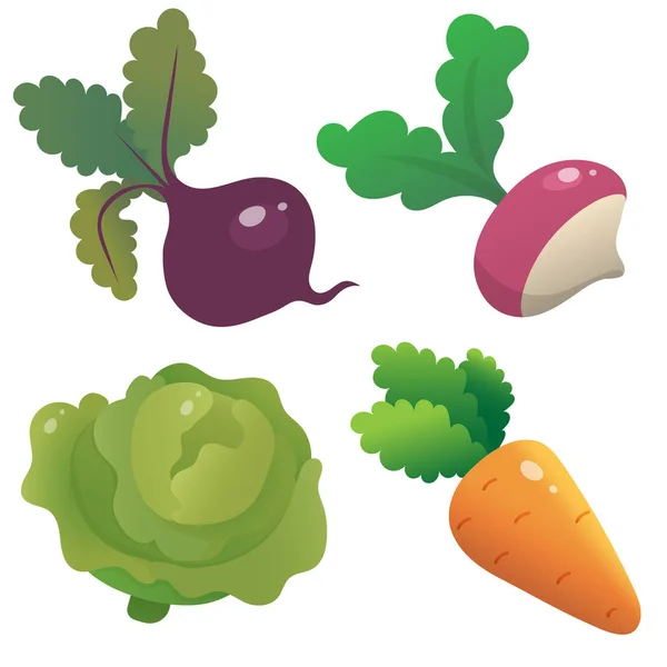 Kleur beelden van cartoon kool, wortel, biet en radijs op witte achtergrond. Groenten. Vector illustratie set voor kinderen. — Stockvector