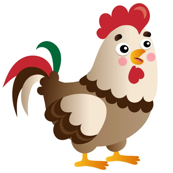 Color image of cartoon rooster on white background. Farm animals. Vector illustration for kids. — Stock Vector