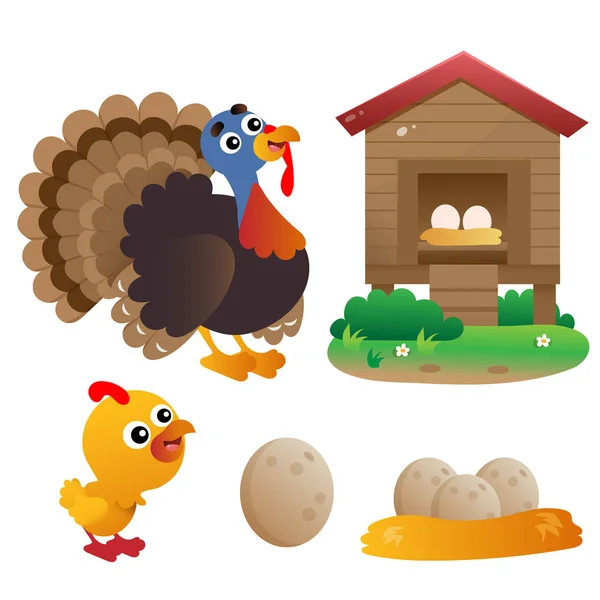 Color images of cartoon turkey with nestling on white background. Farm animals. Vector illustration set for kids. — Stock Vector