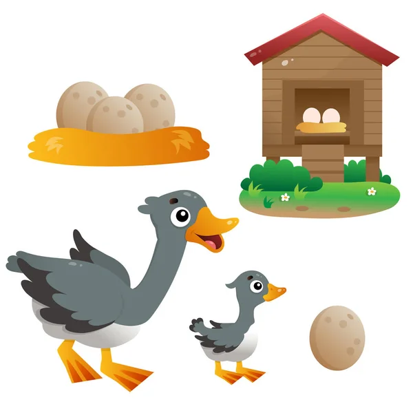 Immagini a colori di oca cartone animato con gosling su sfondo bianco. Animali da fattoria. Set illustrazione vettoriale per bambini . — Vettoriale Stock