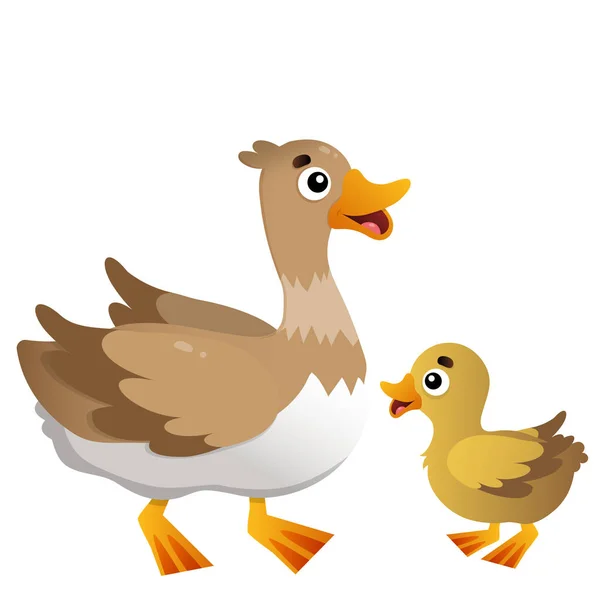 Image en couleur de canard dessin animé avec canard sur fond blanc. Animaux de ferme. Illustration vectorielle pour enfants . — Image vectorielle