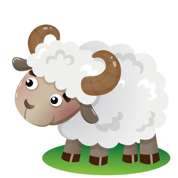 Color image of cartoon sheep on white background. Farm animals. Vector illustration for kids. — Stock Vector