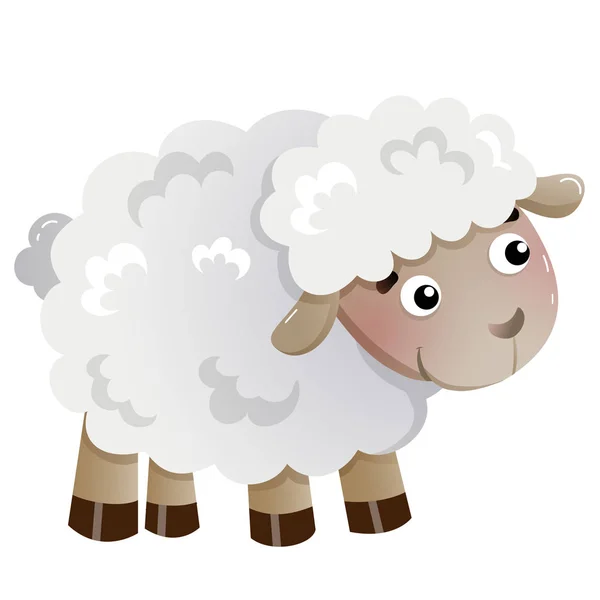 Imagen a color de la pequeña oveja de dibujos animados sobre fondo blanco. Animales de granja. Ilustración vectorial para niños . — Vector de stock
