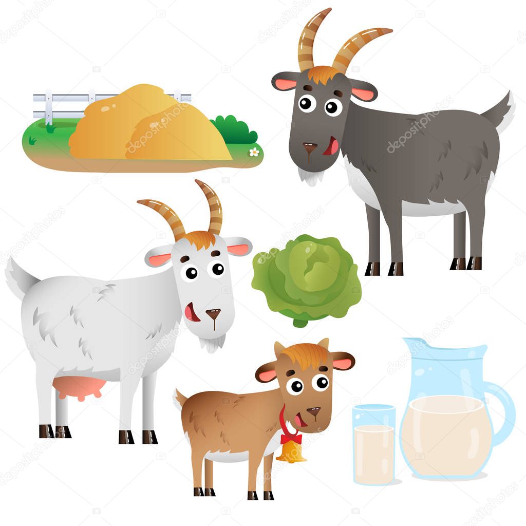 Color images of goat mum and goat dad with kid on white background. Farm animals. Vector illustration set for kids.