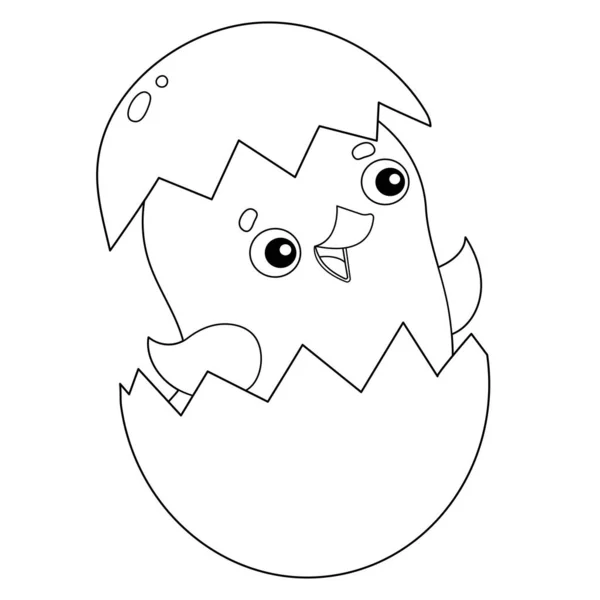 Gallinas Ponedoras Imágenes Vectoriales Gráfico Vectorial De Gallinas Ponedoras Depositphotos