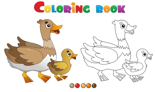 오리가 오리를 물고 있는 컬러 페이지 윤곽. 가축도 기르고. 아이들을 위한 색칠 책. — 스톡 벡터