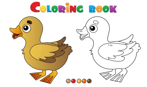 Desenho de Desenho de Desenho animado pato pequeno. Animais de quinta. Livro para colorir para crianças . —  Vetores de Stock