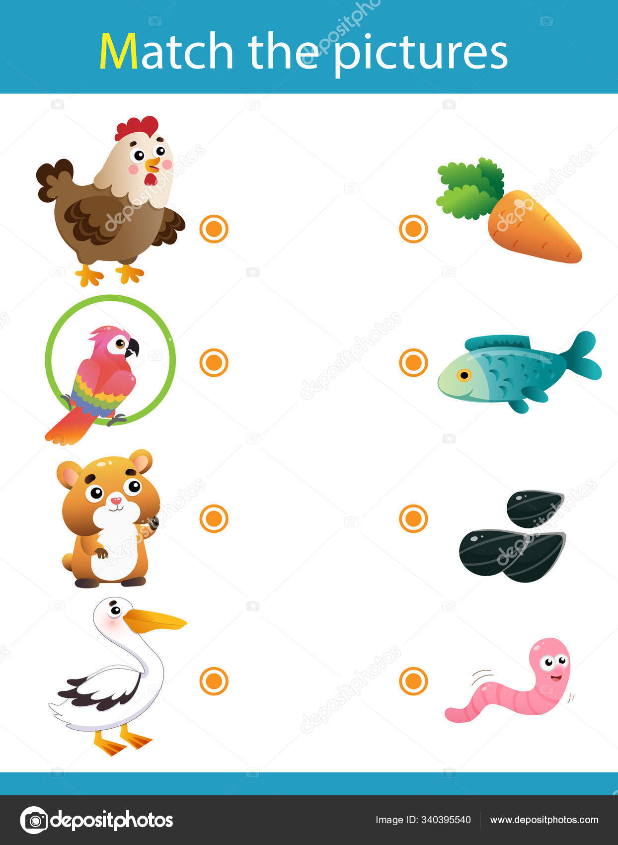 Matching game, education game for children. Puzzle for kids. Match the right object. Cartoon Animals and their Favorite Food. Chicken, parrot, hamster, pelican. Stock Vector Image by ©Oleon17 #340395540 Matching game, education game for children. Puzzle for kids. Match the right object. Cartoon Animals and their Favorite Food. Chicken, parrot, hamster, pelican. Stock Vector Image by ©Oleon17 #340395540