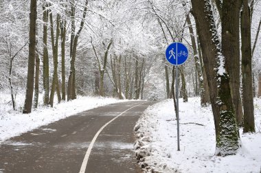 Asfalt parça karlı ormandaki