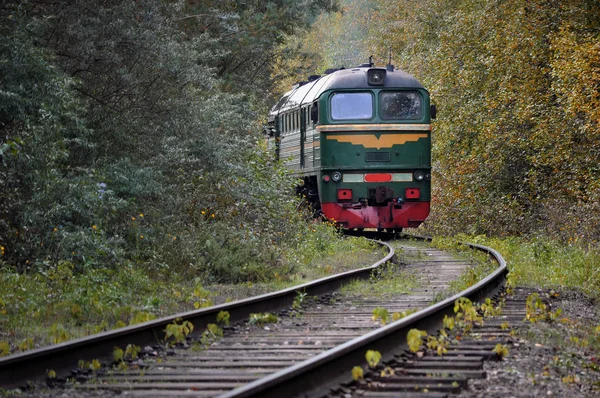 Old train in forest