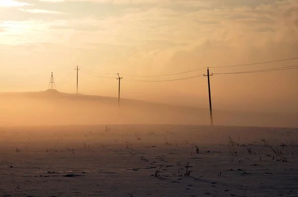 Winter field in fog