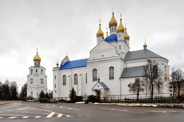 Kathedraal kerk in Slonim — Stockfoto