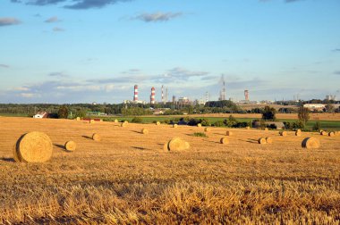 Yaz aylarında haystacks alanıyla