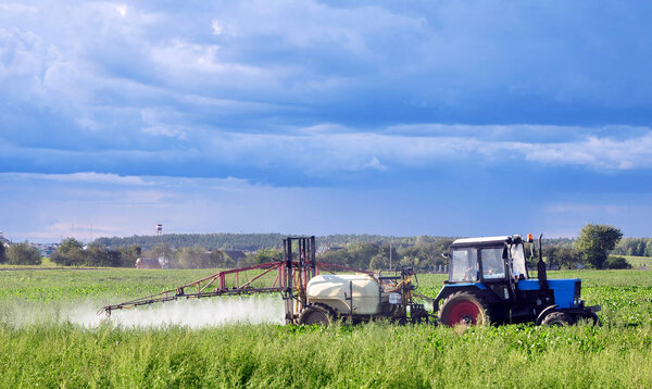 Agriculture field with tractor