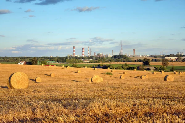 Yaz aylarında haystacks alanıyla