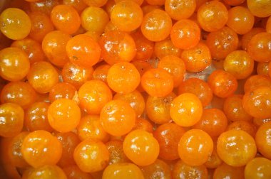 Turuncu Kamkat yakın çekim