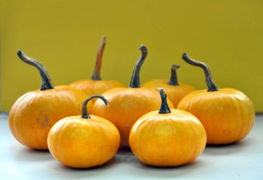 Sarı küçük balkabakları 