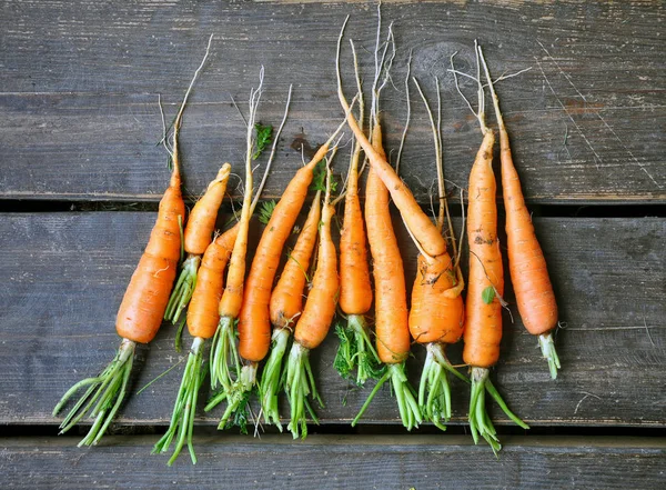 Carottes fraîches sur fond bois — Photo