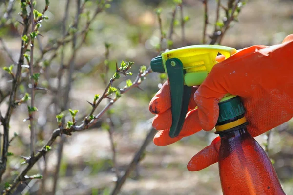 Sulama ve gübreleme bitkilerin