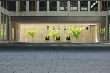 Vazo ile modern building yakınındaki bitki