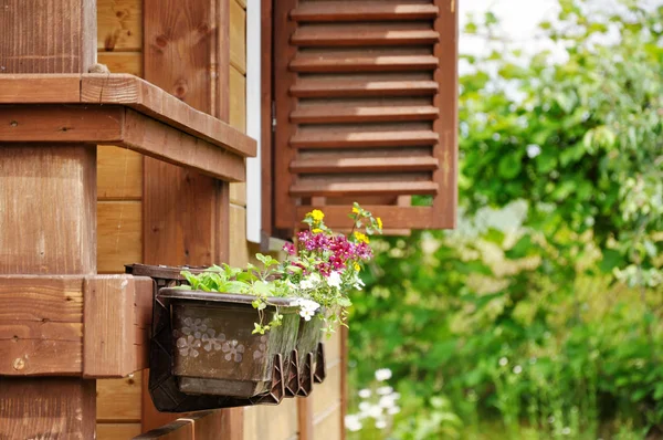 Деревянный дом с жалюзи и цветы — стоковое фото