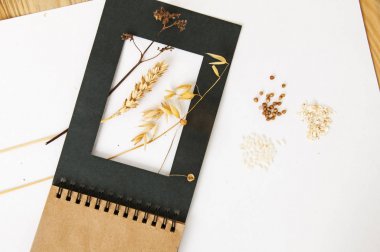 Kağıt defter ile kulak 