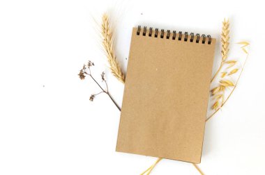 Craft kağıt defter kadar sahte