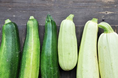 Squash ve kabak hasat