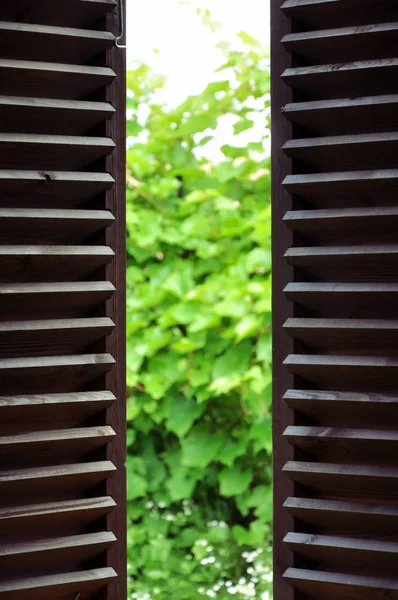 Persianas de madera oscura y vista al jardín de verano — Foto de Stock