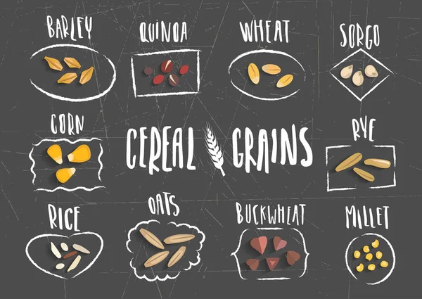 Ilustración de cereales y granos con letras — Vector de stock