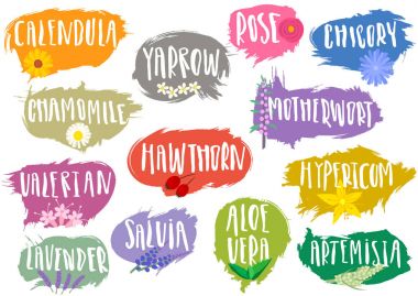 Trendy el şifalı otlar için çizilmiş Amblemler 