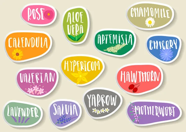 Şifalı otlar yazı ile popüler etiketleri