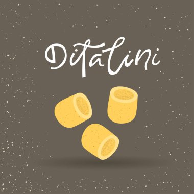 Makarna vektör Illustration. Gri bir arka plan üzerinde yazı ile Ditalini. Reklam, moda ambalaj için menü tasarımı.