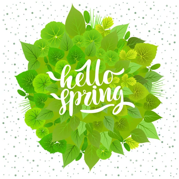 White Odręcznie Napis Hello Wiosna Tle Kuli Zielonych Liści — Wektor stockowy