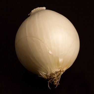 İzole siyah üzerine beyaz soğan