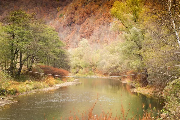 Colores Del Lago Otoño Fondo Caída — Foto de Stock