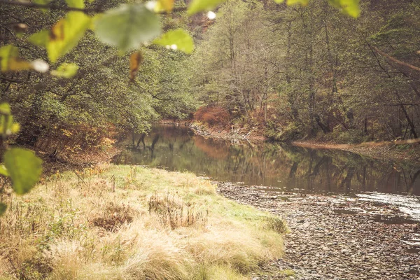 Colores Del Lago Otoño Fondo Caída — Foto de Stock