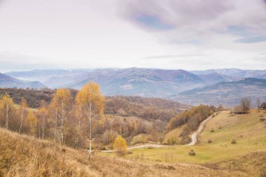 Sonbahar altın renkleri dağ manzarası 