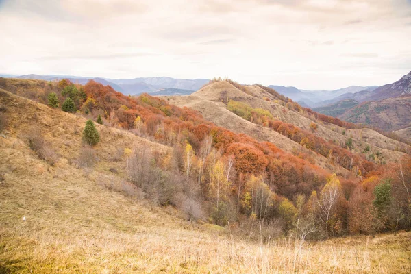 Podzim Zlaté Barvy Horské Krajiny — Stock fotografie