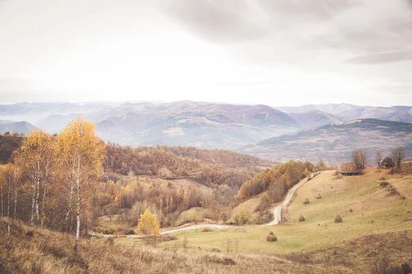 Podzim Zlaté Barvy Horské Krajiny — Stock fotografie