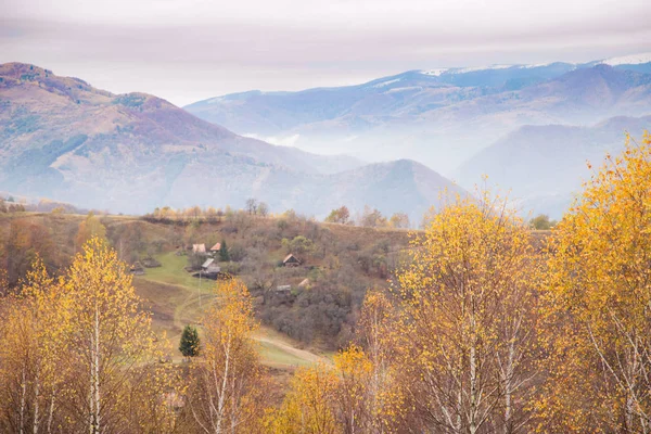 Podzim Zlaté Barvy Horské Krajiny — Stock fotografie