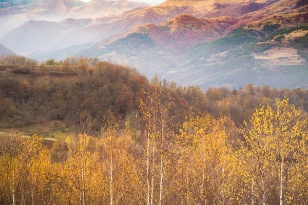 Podzim Zlaté Barvy Horské Krajiny — Stock fotografie