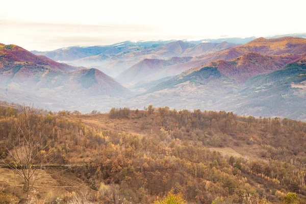 Podzim Zlaté Barvy Horské Krajiny — Stock fotografie