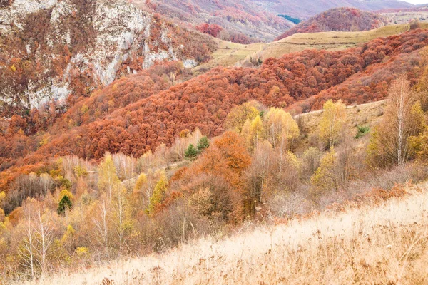 Podzim Zlaté Barvy Horské Krajiny — Stock fotografie