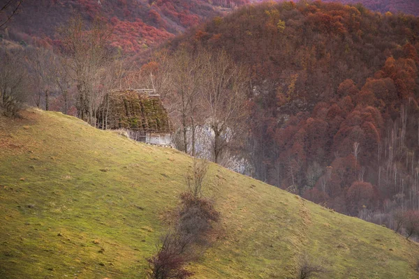 Old Wooden House Fairytale Trees — Stock Photo, Image