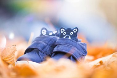 Küçük mavi erkek çocuk ayakkabıları