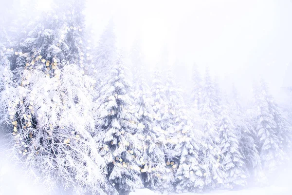 이로운 눈덮인 전나무들 — 스톡 사진