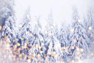 Sihirli noel ağacı kışı aydınlatır. 