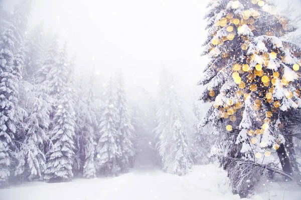 Mágikus Karácsonyfa Fények Téli Háttér — Stock Fotó
